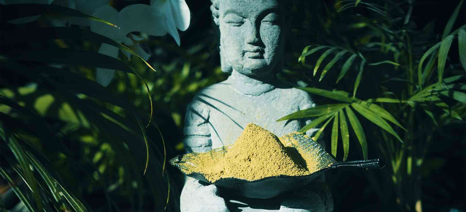 Exploring the Origins of Kratom: History and Cultural Significance