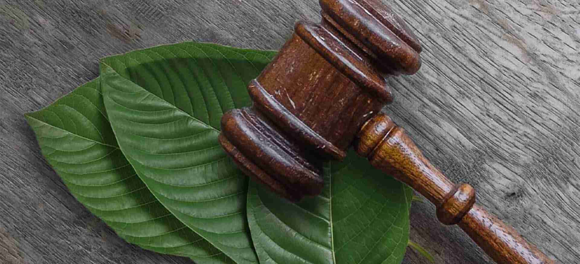 The Legal Landscape of Kratom: What You Need to Know